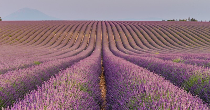 Parle Moi de Parfum посвятили новый аромат Провансу